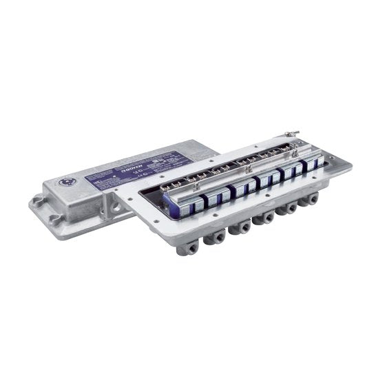 Pentair Goyen 3-6VFD4010C-331 - 4V 1/8-3/4NPT CSA-UL 100-120VAC